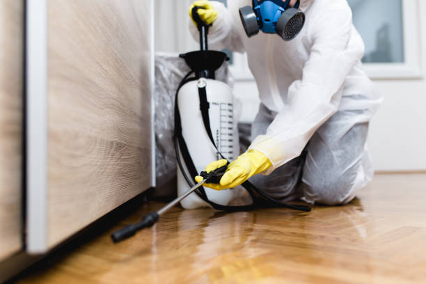 Best Affordable Pest Control Services  in Lincolnton, GA