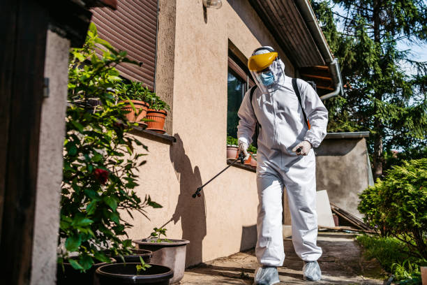 Wildlife Control Services in Lincolnton, GA