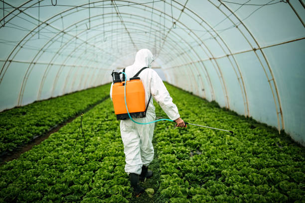 Best Pest Inspection Near Me  in Lincolnton, GA