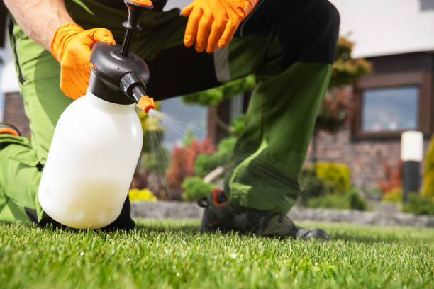 Pest Prevention Services in Lincolnton, GA