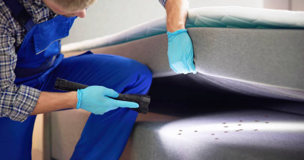 Best Residential Pest Control  in Lincolnton, GA