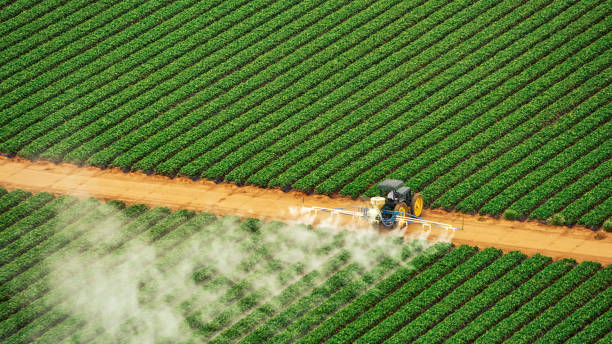Best Pest Prevention Services  in Lincolnton, GA