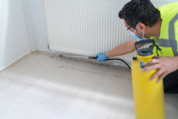 Best Emergency Pest Control  in Lincolnton, GA